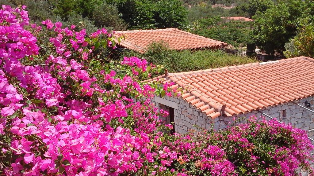 Sophia Mina Green Villa Exterior photo